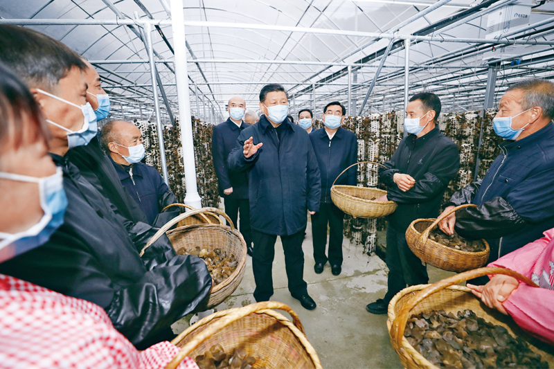 不断做强做优做大我国数字经济「相关图片」