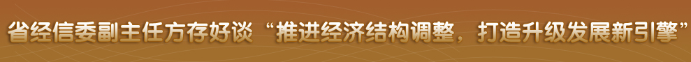 四川省政府网站