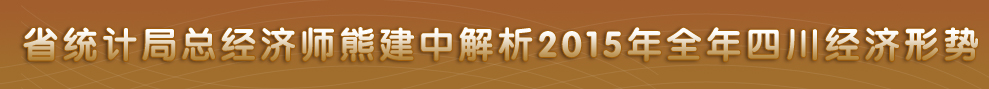 四川省政府网站