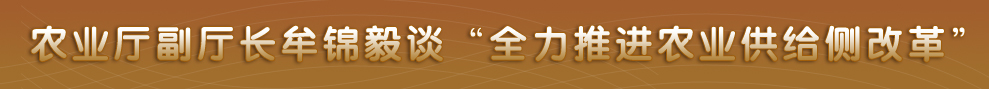 四川省政府网站