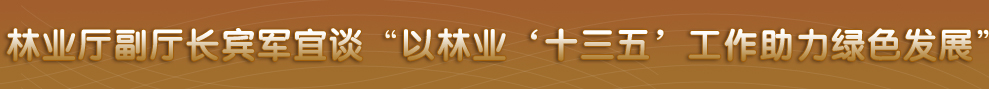 四川省政府网站
