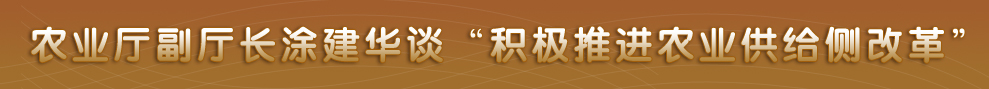 四川省政府网站