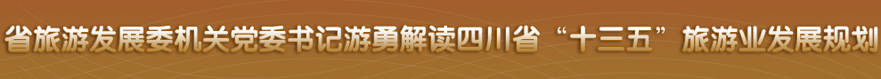 四川省政府网站