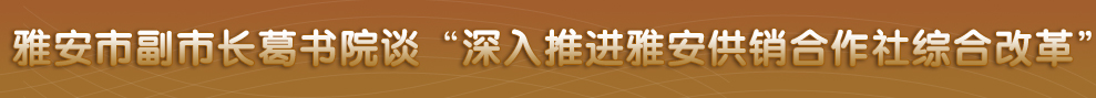 四川省政府网站