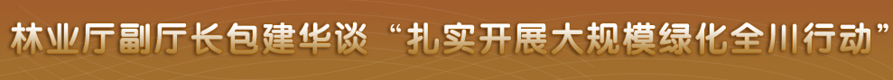 四川省政府网站