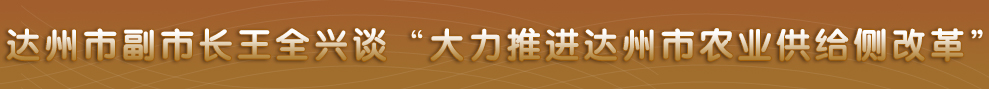 四川省政府网站