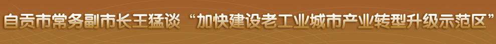 四川省政府网站