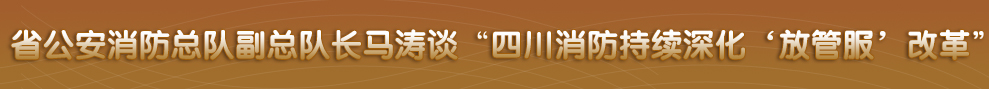 四川省政府网站