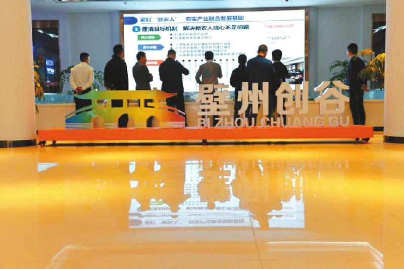 返乡创业的“归雁”是什么吸引他们留在大巴山