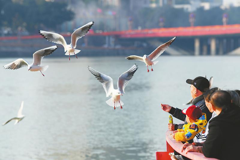 德阳旌湖