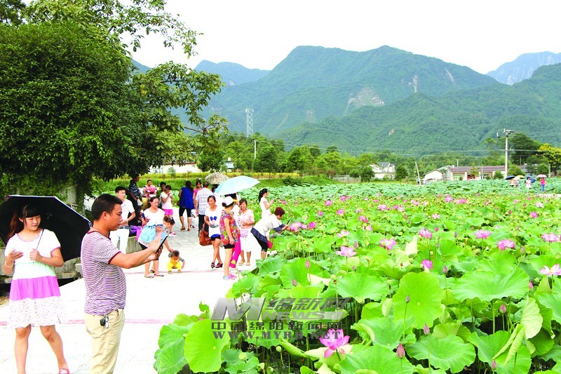 龙潭镇塔水村人口