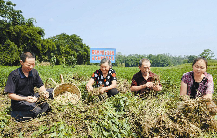 这里是达州--改革开放、科学发展进行时