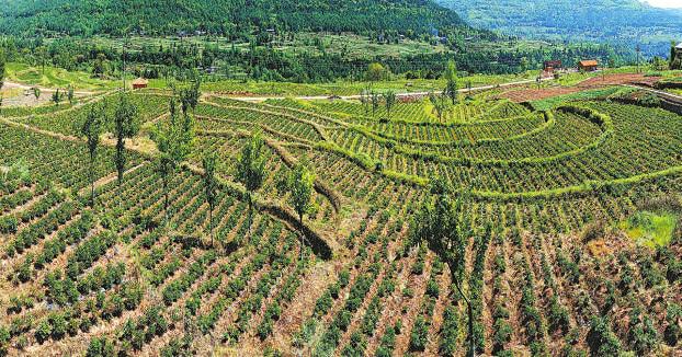 巴中:坚持开放发展 实现合作共赢