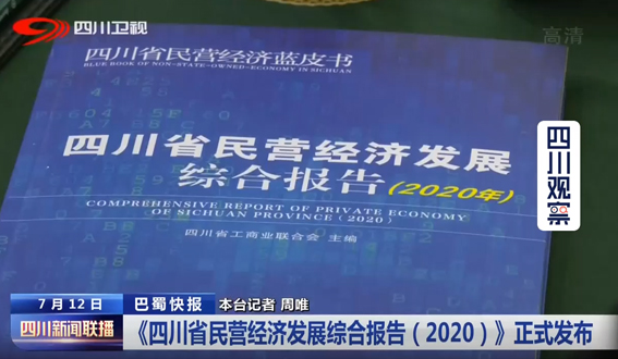 《四川省民营经济发展综合报告（2020）...