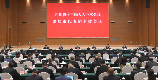 省十三届人大三次会议各代表团审议政府工作报告 <br>彭清华尹力邓小刚等参加所在代表团审议
