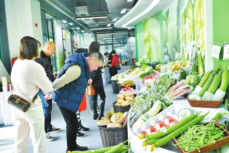 第十二届中国·四川（彭州）蔬菜博览会圆满落幕
唱响“大地蔬菜” 畅享“彭派生活”「相关图片」
