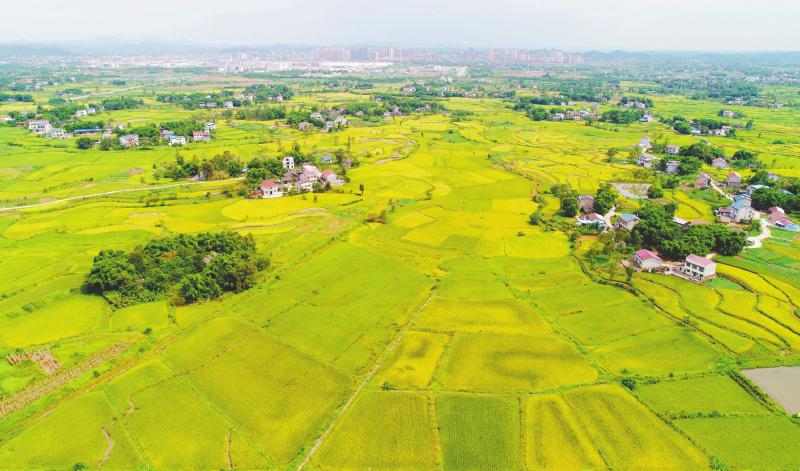 广安市岳池县：谱写县域经济高质量发展新篇章「相关图片」