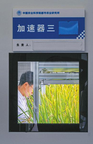 成功模拟太阳光 “照”出天府粮仓新未来「相关图片」