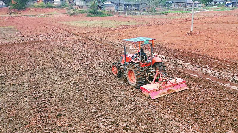 零星地聚合成大块地，荒丘变农田——
给土地“化妆” 挤出万亩制种田「相关图片」