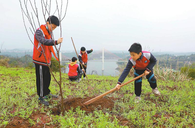 KK体育2022年四川省国土绿化公报发布(图2)