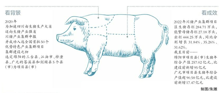 川猪产业集群入选全国首批50个优势特色产业集群项目近三年——
川猪产业集群建设迎“大考”「相关图片」