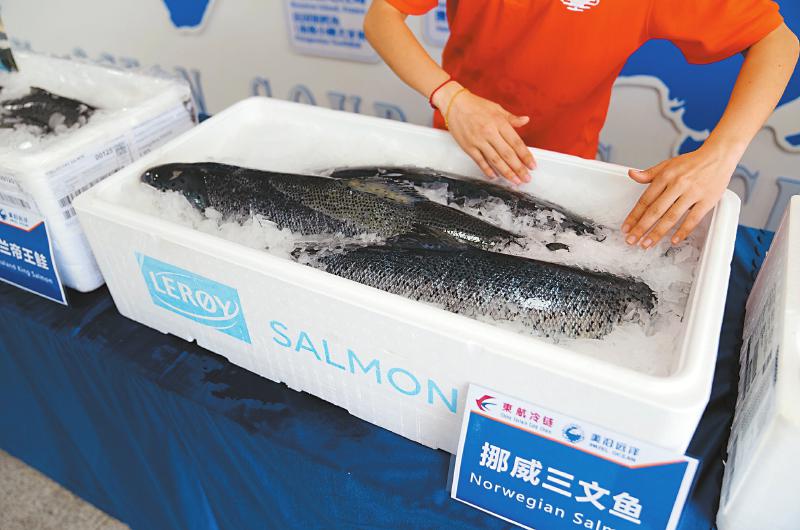 超10亿元 进口三文鱼订单落地
打造更好三文鱼产业生态 叩开四川挪威深度捆绑合作新大门「相关图片」