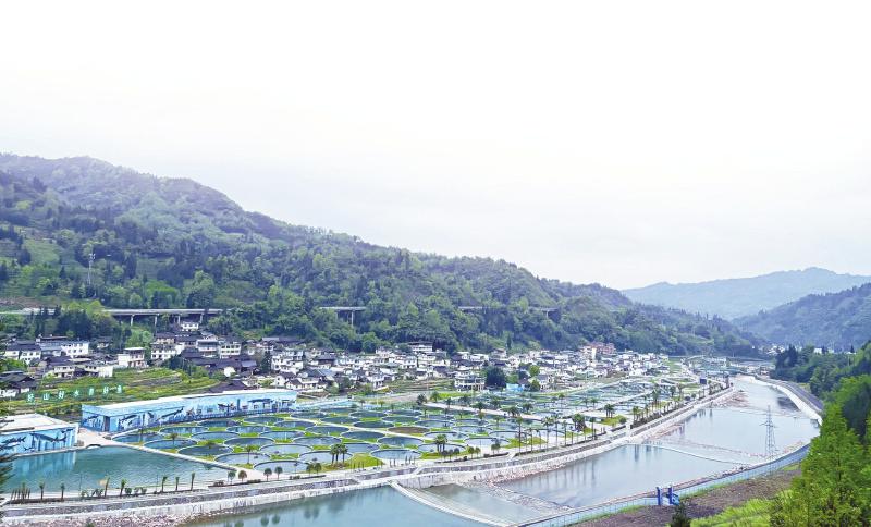 鱼子酱的鲜、柠檬的酸、兔肉的香……“圈粉”120多个国家和地区
“川字号”农产品明年出口额要破100亿元「相关图片」