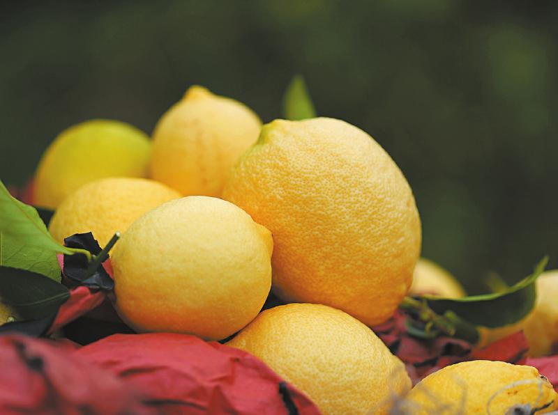 鱼子酱的鲜、柠檬的酸、兔肉的香……“圈粉”120多个国家和地区
“川字号”农产品明年出口额要破100亿元「相关图片」