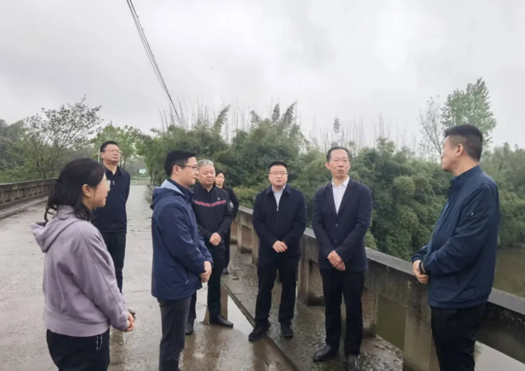 现场,胡家镇龙市河李家桥河段水环境情况,现场听取了隆昌生态环境局