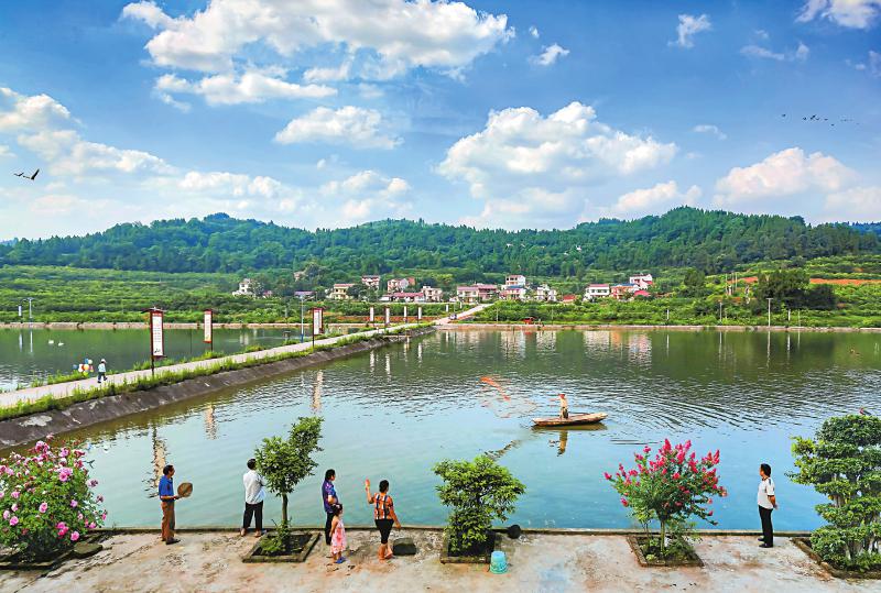 安岳县城北乡柳溪村面貌一新.