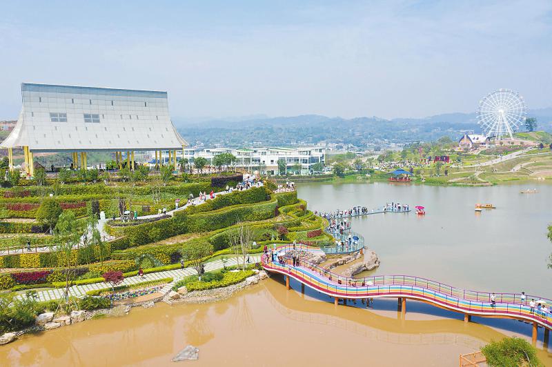 宁波望江花木基地图片