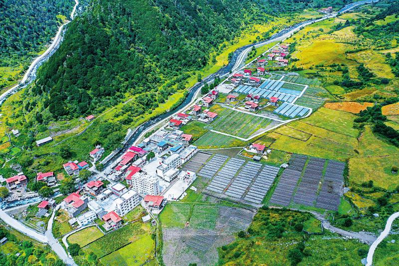 美人谷 育新业 把贫困 帽子 甩得更远一些 四川省人民政府 美人谷 育新业 把贫困 帽子 甩得更远一些 四川省人民政府