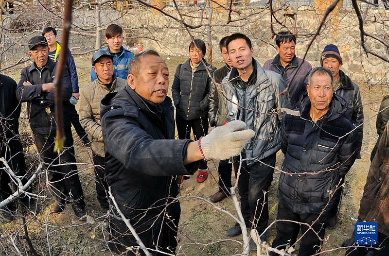 “国家科技创新力的根本源泉在于人”——习近平关心科技工作者的故事「相关图片」