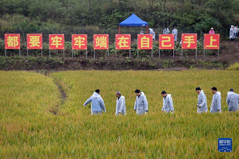 “国家科技创新力的根本源泉在于人”——习近平关心科技工作者的故事「相关图片」
