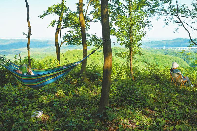 公园城市里露营 假日旅游新顶流「相关图片」