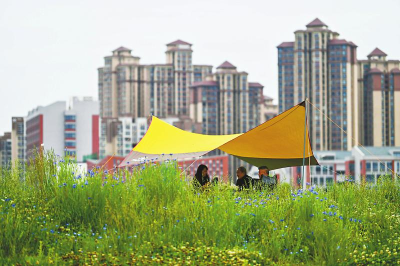 公园城市里露营 假日旅游新顶流「相关图片」