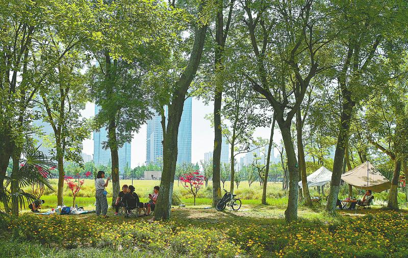 公园城市里露营 假日旅游新顶流「相关图片」