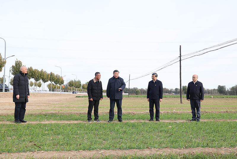习近平在北京河北考察灾后恢复重建工作「相关图片」
