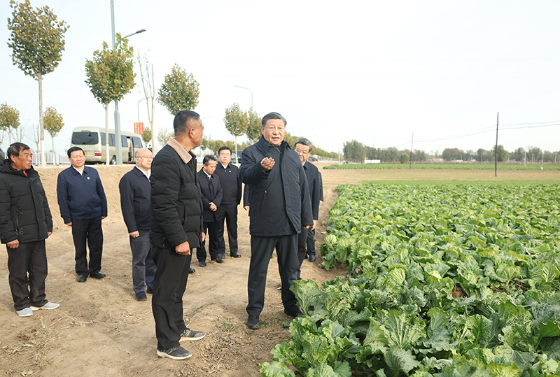 习近平在北京河北考察灾后恢复重建工作「相关图片」