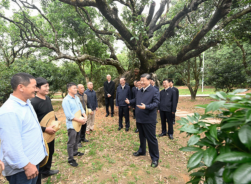 习近平在广东考察时强调
坚定不移全面深化改革扩大高水平对外开放
在推进中国式现代化建设中走在前列
蔡奇陪同考察「相关图片」