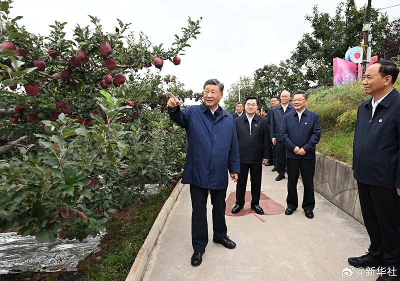 習(xí)近平在陜西寶雞市和甘肅天水市考察調(diào)研「相關(guān)圖片」