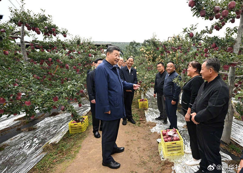 習(xí)近平在陜西寶雞市和甘肅天水市考察調(diào)研「相關(guān)圖片」