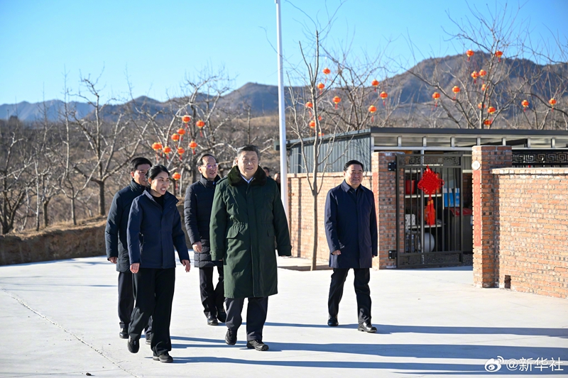 习近平在辽宁葫芦岛市看望慰问受灾群众「相关图片」