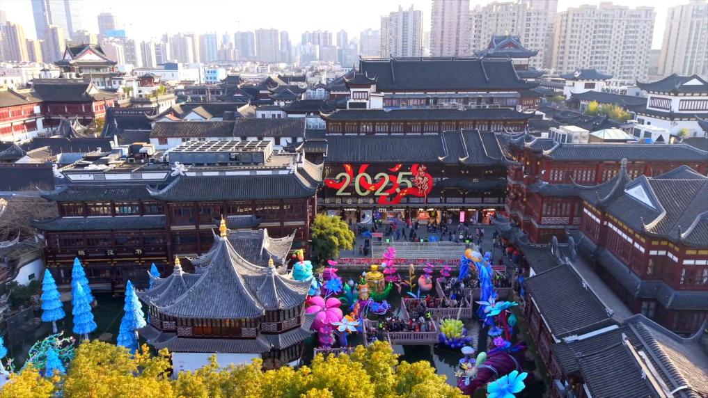 2025入境游火热开局，老外打卡“中国年”「相关图片」