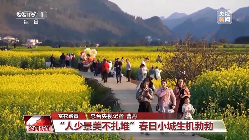 AI智能家居、汽車改裝……新場景激發(fā)消費新活力「相關(guān)圖片」