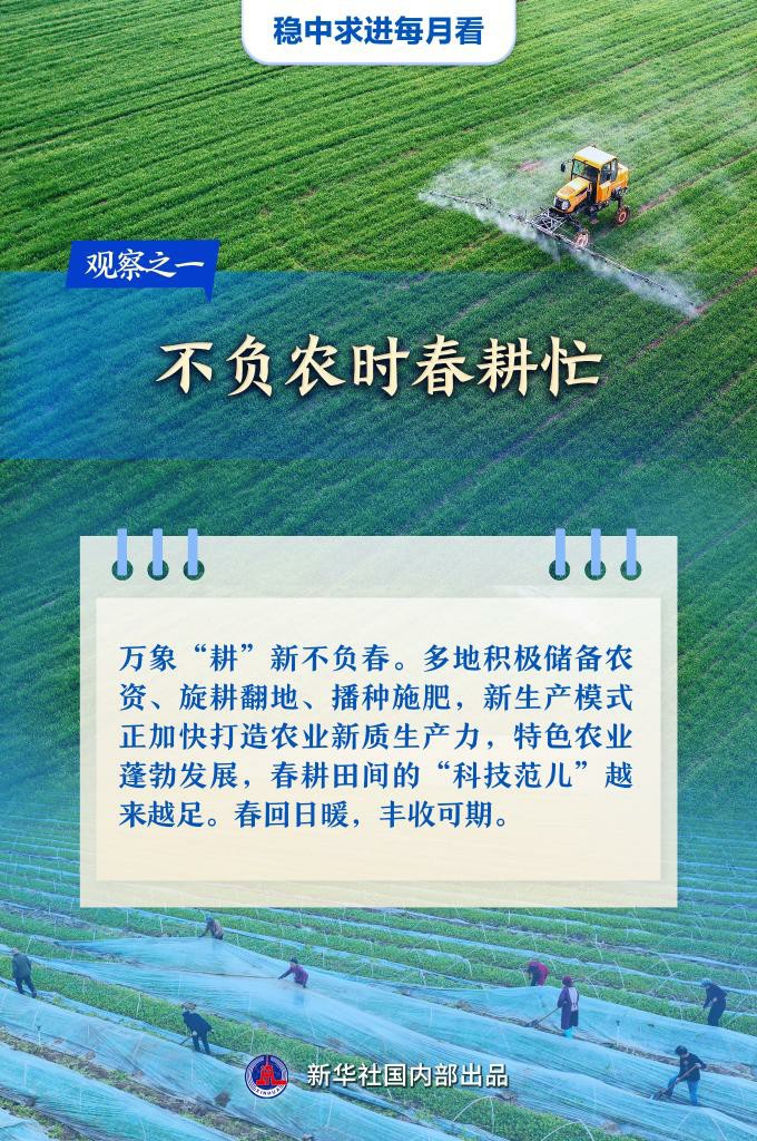 穩(wěn)中求進(jìn)每月看丨春潮涌動(dòng)奮楫行——3月全國(guó)各地經(jīng)濟(jì)社會(huì)發(fā)展觀察「相關(guān)圖片」