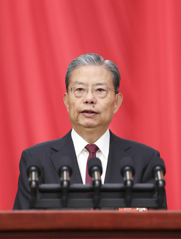 十四届全国人大三次会议举行第二次全体会议 习近平等出席「相关图片」
