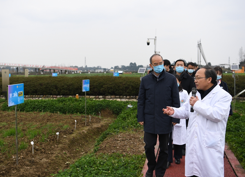 黄强在成都调研耕地保护和春耕生产工作时强调 严守耕地红线抓牢春耕生产 全力保障粮食安全促进农民稳步增收「相关图片」