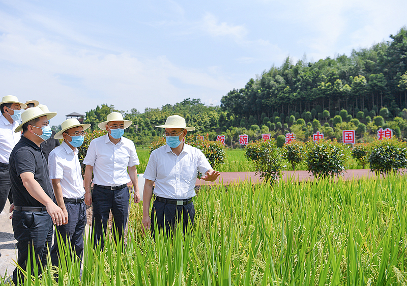 黄强在南充达州调研时强调
坚定信心鼓足干劲抢抓机遇拼搏冲刺
坚定推动高质量发展努力完成全年目标任务「相关图片」