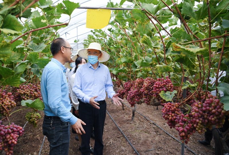 黄强在凉山州调研并主持召开安宁河流域高质量发展座谈会时强调
持续巩固拓展脱贫攻坚成果全面推进乡村振兴
全力推动安宁河流域高质量发展为全省大局多作贡献「相关图片」